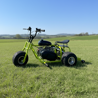 Mini-trike rétro tout-terrain 212CC personnalisé en gros, mini-moto à quatre temps, essence, tout-terrain, kart à dérive pour adultes