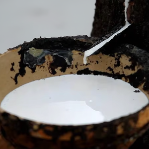 Latex de caoutchouc naturel de qualité supérieure HA Latex liquide 60% DRC Matière première de qualité supérieure pour le moulage Conditionnée en fûts - Product Image 1