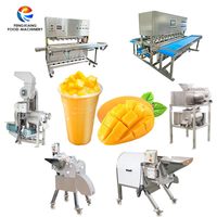 Fruit Mango Calamansi Squeezer Ananassap Extractor Machine Industriële Verse Sinaasappel Juicer Persmachine