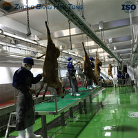 Maquinaria para Mataderos de Ovejas y Cabras Halal, Proyecto Completo Llave en Mano de Línea de Sacrificio con Capacidad para 500 Cabezas por Día para el Procesamiento de Carne de Cordero