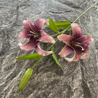 Nouvelles fleurs de lys artificielles en PU à 3 têtes, 71 cm, roses et blanches, pour la décoration de la maison et des mariages
