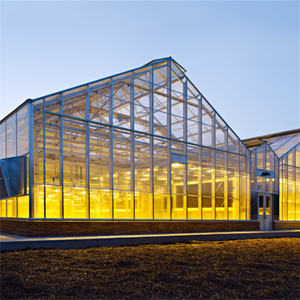 Serre commerciale en verre ombrage serre multi-envergure Venlo pour plantes <span class=keywords><strong>l</strong></span>égumes fleurs en croissance - Product Image 1