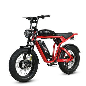 Super Power 73 cyclomoteur style Samebike M20 2 moteurs et 2 batteries 32Ah tout terrain électrique dirt bike 2000w eu entrepôt e bike - Product Image 1