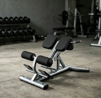 Chaise romaine réglable pour extensions dorsales, banc abdominal, équipement de fitness commercial et domestique en acier au carbone de haute qualité, personnalisable