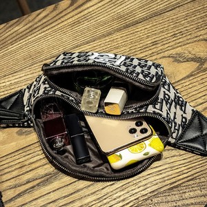 MIYIN-Bolsa <span class=keywords><strong>de</strong></span> <span class=keywords><strong>guía</strong></span> <span class=keywords><strong>de</strong></span> compras para mujer, minicinturón, bolso coreano, entretiempo, bordado, paquete <span class=keywords><strong>de</strong></span> cintura para mujer <span class=keywords><strong>2022</strong></span> - Product Image 5