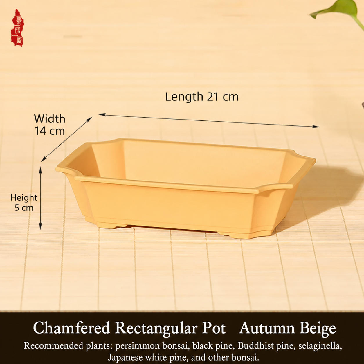 Resin Autumn Beige 21cm14cm5cm