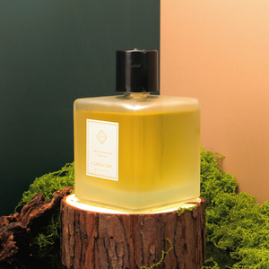 Ensemble de diffuseurs de parfum haut de gamme pour la maison, l'hôtel, le spa, l'aromathérapie, diffuseur d'huiles essentielles longue durée, emballage personnalisé - Product Image 4