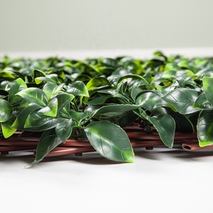ZC 2024 populaire extensible en plastique artificiel clôture de jardin feuilles de <span class=keywords><strong>laurier</strong></span> treillis buis tapis lierre intimité <span class=keywords><strong>haie</strong></span> herbe Type - Product Image 3