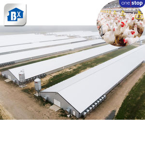 Service complet pour élevage de poules pondeuses, <span class=keywords><strong>cage</strong></span> pour 1000 poulets, conception de poulailler pour élevage de poules pondeuses - Product Image 2
