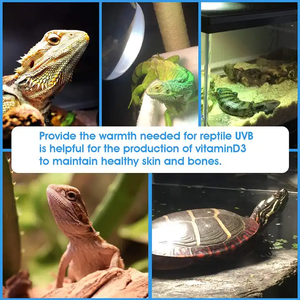 Reptil Sun <strong>Light</strong> 50W 75W 100W 150W <strong>Turtle</strong> Basking <strong>Light</strong> UVA UVB Reptil Bulb