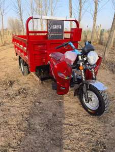 Tricycle utilitaire à essence 3 roues, nouveau, prix usine, populaire, moteur 200cc refroidi par eau et air, moto-tricycle à essence - Product Image 5