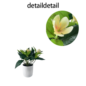 Hojas <span class=keywords><strong>de</strong></span> orquídeas <span class=keywords><strong>de</strong></span> tacto real, bonsái <span class=keywords><strong>de</strong></span> plástico Artificial, planta en maceta, decoración ecológica para el hogar con maceta - Product Image 2