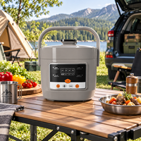 Cuisinière à pression électrique portable 24V 2,5L, avec minuterie numérique et fonction maintien au chaud, pour voiture, camion, extérieur, camping