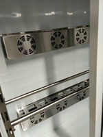 Armoire de séchage pour canard rôti, réfrigérateur pour poulet/oie 0~25°C ℃   Contrôle de l'humidité par réfrigération et dégivrage, lumière chaude, garantie 1 an