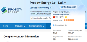 Eingebaute Smart BMS 300A Peak 1000A Lithium batterie 36V 48V 72V 100Ah 105Ah 120Ah LiFePO4 Batterie für Golf Cart Electric Buggy - Product Image 2