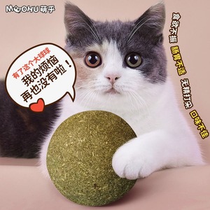 Jouet boule à la catnip 10cm pour le nettoyage des dents des chats, jouets à mâcher - Product Image 1