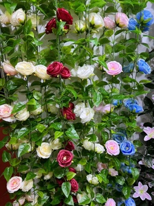 Pergolas grimpantes, fleurs noires, vigne bleue, rose campagne, rouge, Rosa Schizophragma, ombrage, glycine Jeanne et roses - Product Image 2