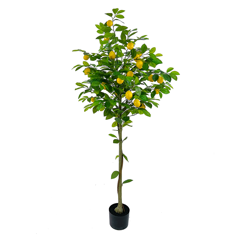 150 cm - 2