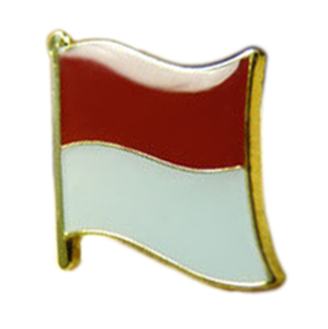 De aleación de Zinc pintado a granel de la Escuela china de la india bi bandera Pines de solapa - Product Image 4