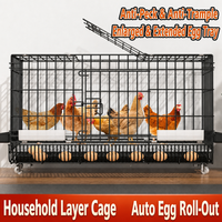Cage à pigeons simple pour l'élevage, cloison de transport pour pigeons de course, équipement de transport pour pigeons, poulailler moyen – Vente en gros fabricant