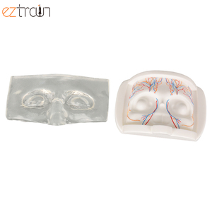 Modèle <span class=keywords><strong>de</strong></span> mannequin d'entraînement à l'injection et au levage <span class=keywords><strong>de</strong></span> fil transparent avec croix, œil <span class=keywords><strong>de</strong></span> mannequin transparent - Product Image 4