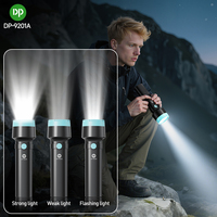 Lampe torche LED rechargeable haute puissance DP Fresnel 1200mAh avec charge Type-C