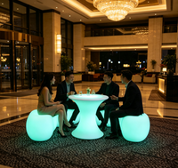 Meubles LED Lumineux Multicolores pour Soirées en Plage, Événements Côtiers, Mariages, Noël, Halloween, Décoration de Fêtes, Télécommande Incluse