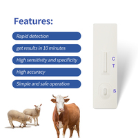 Kit rapide bovin d'essai d'anticorps de brucellose (BCL AB) ISO9001:2015 et GMP pour les drogues animales 1 support technique en ligne 12Mo GICA de boîte