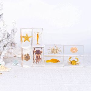 مجموعة عينات الحشرات الحقيقية معدات المختبرات المدرسية البلاستيك الحياة البحرية الحيوان نمط الراتنج التحنيط لوازم للزينة - Product Image 2