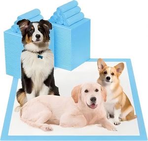 Alèses jetables absorbantes pour animaux de compagnie, couches pour femelles, tapis d'apprentissage pour chiots, pour l'urine et les pipis - Product Image 1