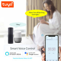 Module d'ouverture de porte intelligent WiFi USB 5V DC 7-32V, relais 2 canaux 10A, télécommande compatible Alexa/Google Assistant PST-TYWB-2CH