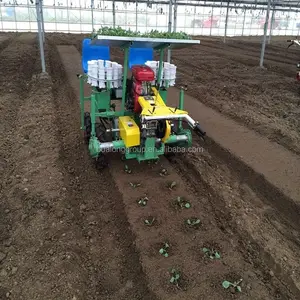 Groente Transplanteren Apparatuur Agrarische Groente Transplanter Geschikt Voor Peper Biet En Andere Gewassen Planten