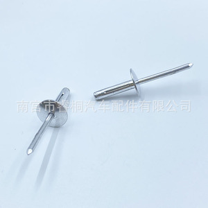 Remache Ciego de Tipo Abierto Shuangxuan 4.8*20 de Acero Resistente a la Corrosión para Automoción - Product Image 4