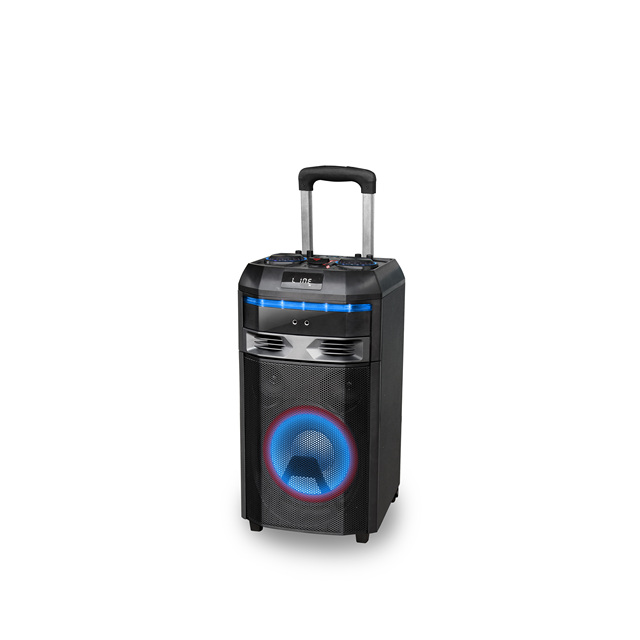 Diamond Exclusive 10 Inch WOOFER Trolley Speaker Karaoke Audio Sound System DJ Music Outdoor Speaker