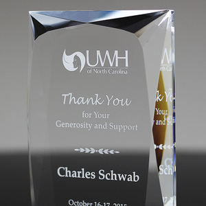 Trophée en cristal à trois anneaux pour les récompenses des <span class=keywords><strong>institutions</strong></span> éducatives et des projets <span class=keywords><strong>communautaires</strong></span> - Product Image 3