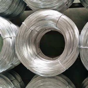 Fils d'acier à brosse de haute qualité En10270/GB/ASTM/DIN Fil d'acier galvanisé 0.20mm 0.30mm 0.5mm - Product Image 4