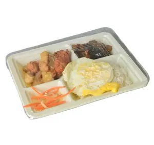 Disposable PP White 3 compartment lunch box Ampoule Medical Plastic container/ thermoforming Trays