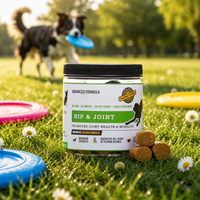Soutien Articulaire pour Animaux de Compagnie : Friandises Tendres pour Chiens et Chats – Chondroïtine, MSM, Acide Hyaluronique – Répare le Cartilage, Améliore la Mobilité Rapidement – OEM/ODM