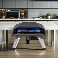 Four à pizza intérieur extérieur de 16 pouces à gaz chauffage rapide BBQ rotatif 8 kW four facile à nettoyer four à pizza charbon de bois et barbecue à gaz