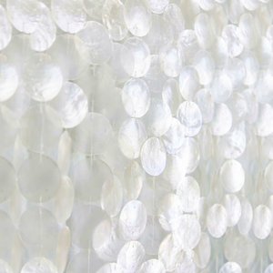 เปลือกหอยกาบหอยธรรมชาติพรีเมียมสำหรับตกแต่งบ้าน งานฝีมือ โมเสก และขายส่งส่งออกจากเวียดนาม - Product Image 1