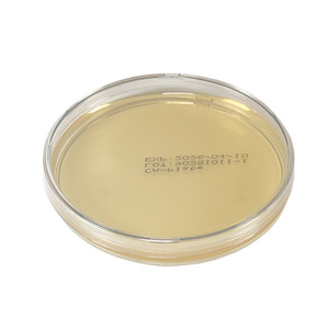 Boîtes de Pétri End Peak Bio 90 mm, 8 paquets, pour usage en laboratoire, plaques de culture - Product Image 2