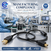 Câble USB 2.0AM vers Mini 5 broches LUNGKAY personnalisé, avec noyau en poudre de fer plaqué or, pour moteurs industriels, servomoteurs, équipements médicaux