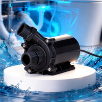 Pompe Submersible 12V/24V pour Toilettes Intelligentes et Sanitaires - Basse Pression, Silencieuse, OEM Personnalisable
