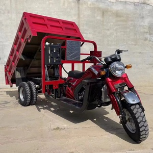 มอเตอร์ไซค์สามล้อบรรทุกแบบเปิด รุ่นใหม่ 200 ซีซี 250 ซีซี 5 ล้อ ใช้เชื้อเพลิงเบนซิน พร้อมใบรับรอง EEC สำหรับโดยสาร - Product Image 2