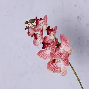 Arreglo Floral Artificial de Phalaenopsis de 7 Cabezas en Jarrón, Flores Realistas de Alta Gama, Decoración Floral Exclusiva <span class=keywords><strong>para</strong></span> Sala de Estar - Product Image 5