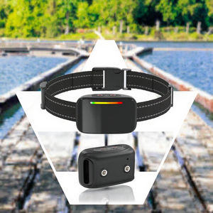 <span class=keywords><strong>Collar</strong></span> Antiladridos Recargable Automático de Nailon para Entrenamiento de Perros, con Vibración, Sonido y Descarga, Suministros Duraderos para el Comportamiento de Mascotas - Product Image 5