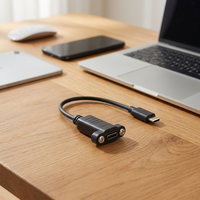 Cable de Extensión USB-C Personalizado Annxin de 0.3m, Macho a Hembra, Carga Rápida de 3A, Trenzado de Cobre Puro, Cubierta de PVC con Montaje en Panel