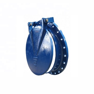 Válvula Antirretorno de Tipo Solapa Circular con Brida de Hierro Fundido Dúctil Di Ggg50 DN250 PN10, Suministro de Fábrica, Envío Gratuito - Product Image 4
