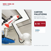 Robot logistique modulaire de palettisation de 50 kg avec pince à vide pour la manutention de cartons sur convoyeur et le chargement de palettes en entrepôt