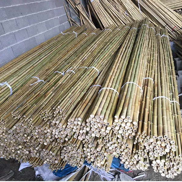 Hete Verkoop Natuurlijke Bamboe Constructie Tuingebouwen Vrije Tijd Ruwe Bamboestokken